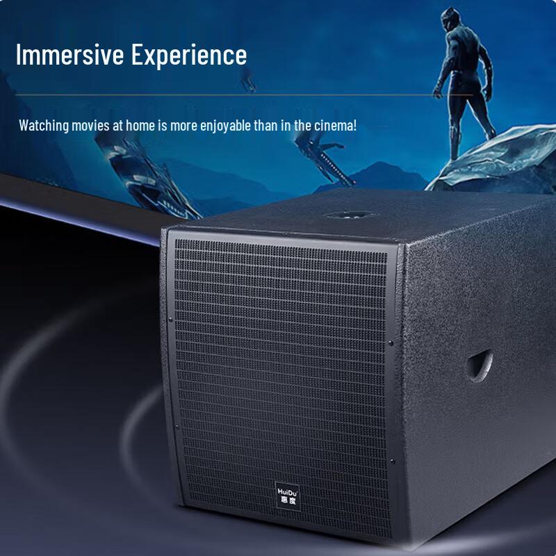 Huidu Professional Stage Subwoofer