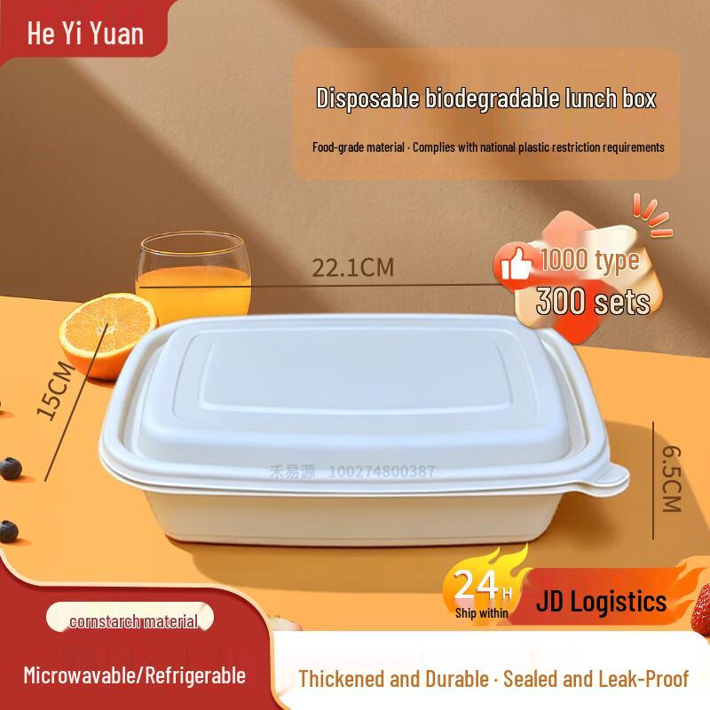 Eco-Friendly Rectangular Disposable Lunch Boxes