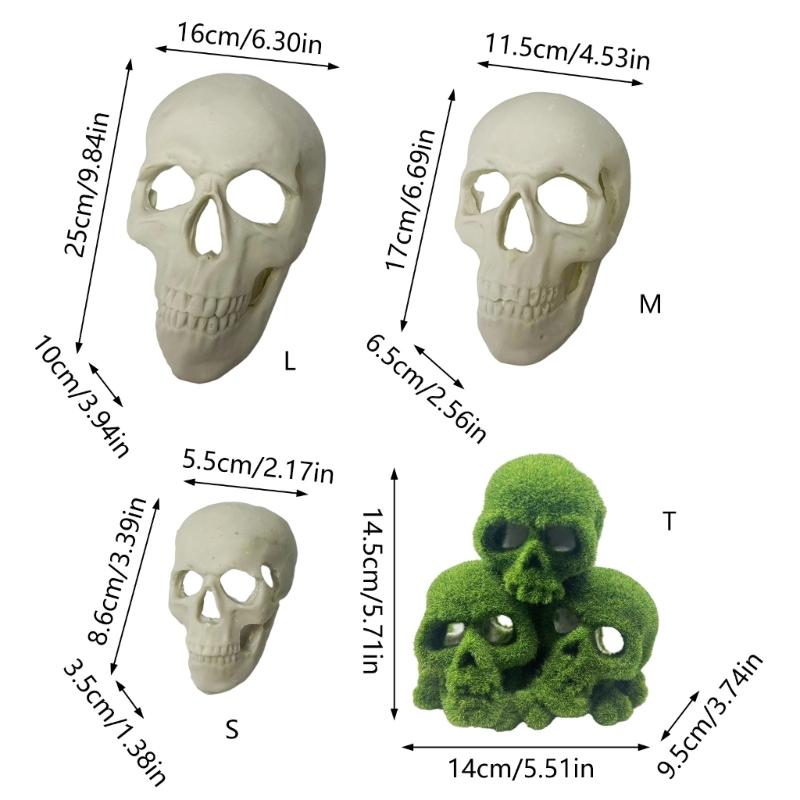 Skull Figurine Accent for Enclosure Styling, Room Display, Shelf Display, and Theme Display Use with Indoor Display