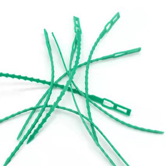 Adjustable Plant Ties Flexible Twist Ties Flexible Gardening Ties Plant Stake Ties for Plant Support Tree Shrub Cable Organization