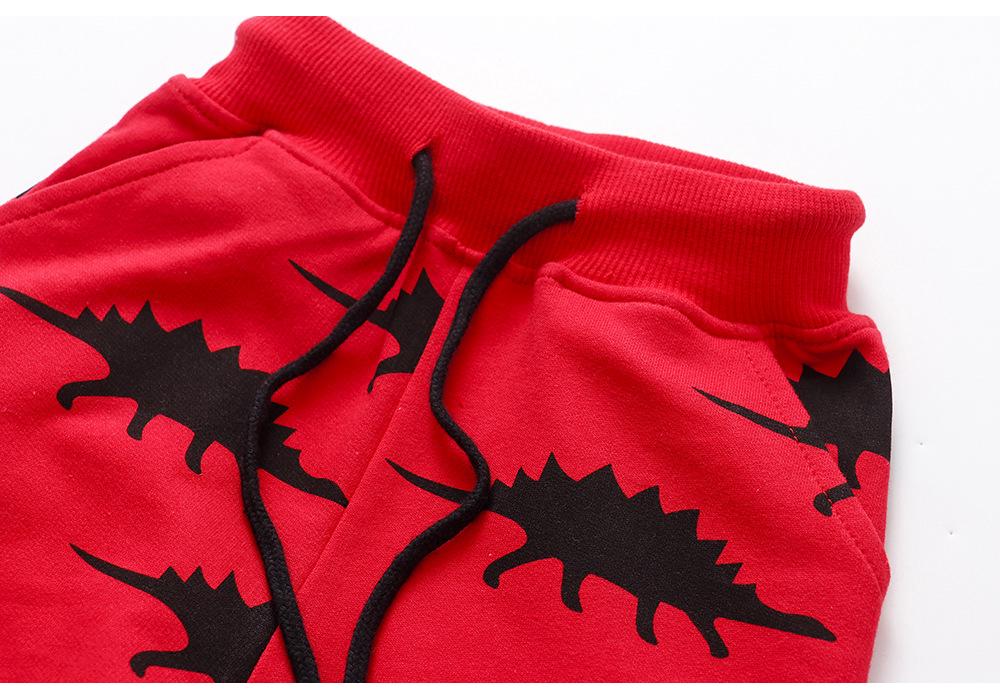 Autumn/Winter Cotton Boys' Knit Sweatpants - European & American Style