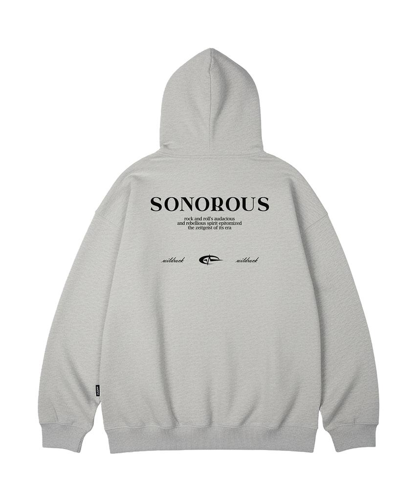 Sonorous Oversized Hoodie_10 Col