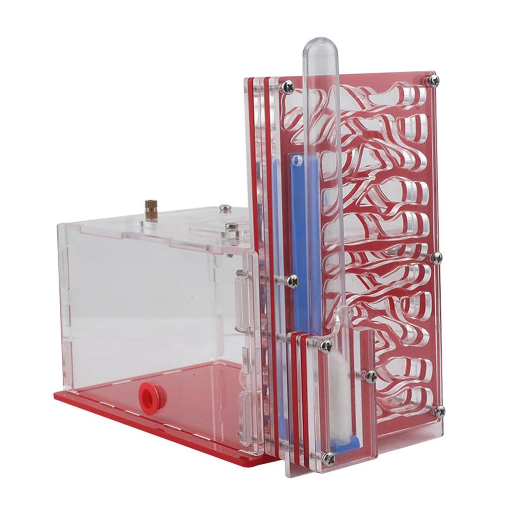 Ant Housing Nest DIY Compact Learning Acrylic Farm Villa for Science Observation Lovers Home Childrens Day Birthday Gift