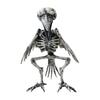 Halloween Animal Skeleton Plastic Bone Model Realistic Skeleton Crow Spider Rat Scorpion Figurine for Haunted Houses Graveyard Scenes Parties Decor