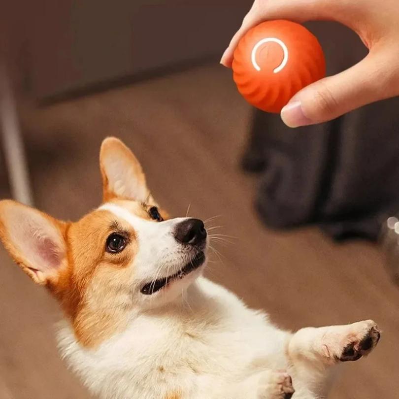 Juguete para Perro Pelota Pelota Rodante Rebotadora que se Mueve Automáticamente USB Inteligente para Cachorro Juguete de Masticar Interactivo para Perro Pelota