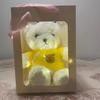 Flash Teddy Bear Plush Toy with Light Bear Doll Gift Box Ragdoll Bear Doll for Girl Birthday Gift