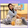 Cute Plush Bear Toy Soft And Cuddly Companion For Kids Learning And Comfort 28cm 40cm 55cm Options