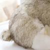 Realistisches Husky-Hund-Plüschtier, gefülltes Tier, weicher Wolf, Haustierpuppe, süßes Kindergeschenk 7