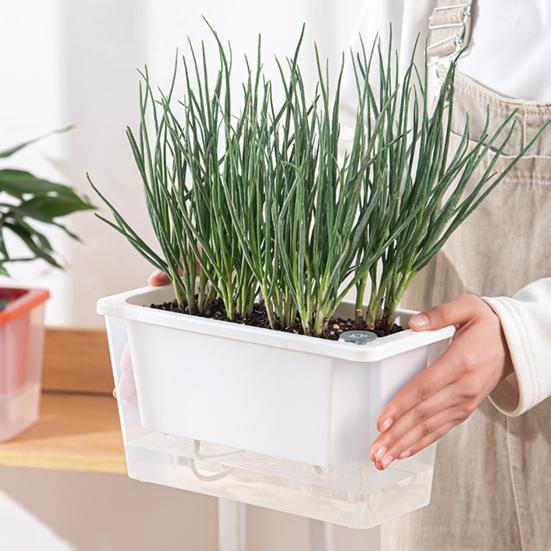 Self Watering Planter Plastic Flowerpot with Reservoir Easy Refill Plant Pot with Wick Ropes for Succulents Scallions Balcony Windowsill Gardening