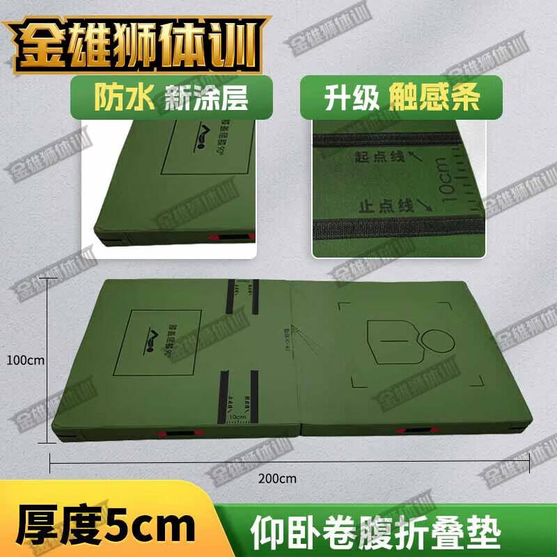 Golden Lion Multi-Purpose Exercise Mats & Trainer