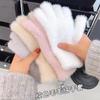 Korean Version of Winter Gloves Imitation Mink Gloves New Solid Color Sweet Ins Plush Warm Gloves Cycling Cold