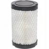Briggs & Stratton 4145 Air Filter 796031 594201 590825 14.5-24Hp German