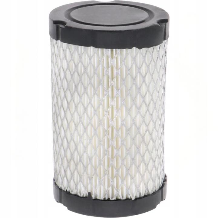 Briggs & Stratton 4145 Air Filter 796031 594201 590825 14.5-24Hp German