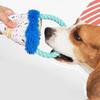 Durability Birthday Themed Dog Chew Toy Machines Washable Dog Chew Toy For Indoor Outdoor Playtimes