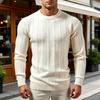 Men's Crewneck Ribbed Knit Sweater, Long Sleeve Pullover with Vertical Texture for Fall and Winter