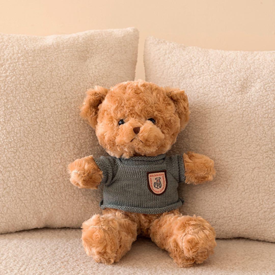 

[USED] Sweater Teddy Bear Plush Toy