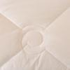Ya Lu Warm Winter Polyester Duvet