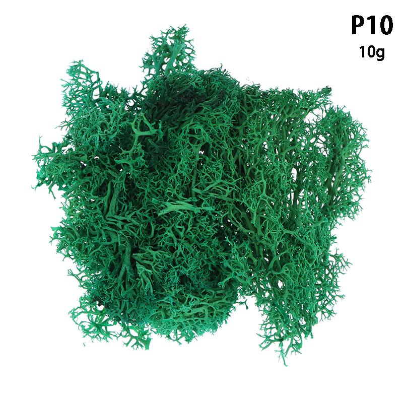 Colorful Natural Artificial Moss Plant DIY Dried Reindeer Moss Decor Resin Epoxy Filling Jewelry Garden Decorate Supplies