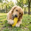 Flexible Dog Chew Toy Bite Resistant Dog Teething Stick Funny Dog Toothbrush Stick  Home Play