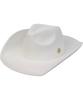UNIVERSAL CHEMISTRY Cowboy Wool White Long Fedora Fedora