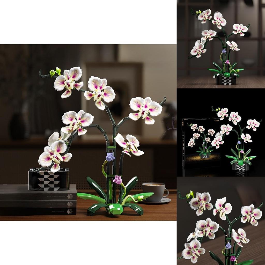 Cymbidium Building Block Toy With Abs Plastic For Children Diy Creative Play Gift