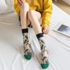 3 Pares Nuevos Set de Calcetines Transparentes Lindos de Gato para Mujer Coreanos Florales Animales Verano Delgados Kawaii Set de Calcetines de Seda para Mujer