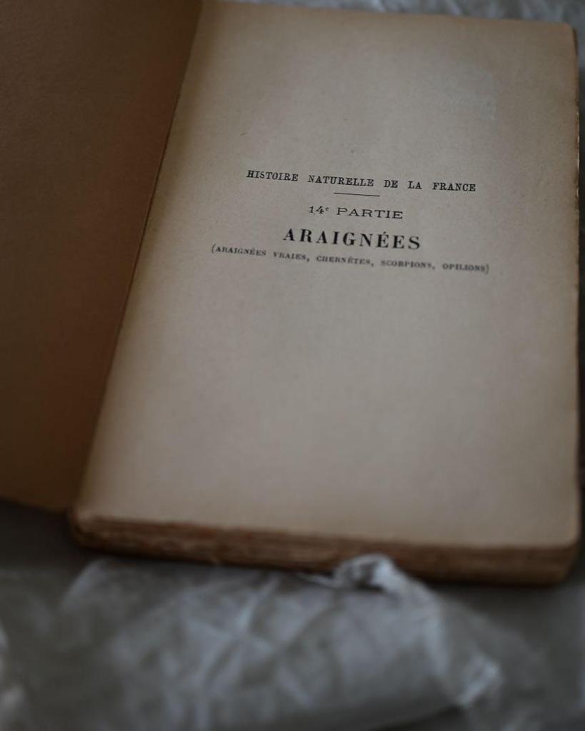 [USED] French Antique Rare Spider Book