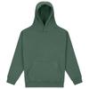 Awdis Unisex Adult Vision Heavyweight Hoodie