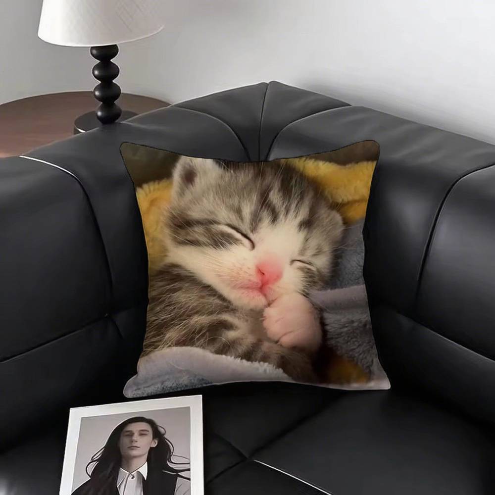 1pc Sleeping Kittens Pillow Case Square Bedroom Sofa Leisure Comfort Cushion Car Living Room Home Decoration