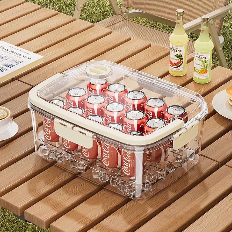 Portable Refrigerator & Outdoor Food Storage Box Transparent, No Dividers