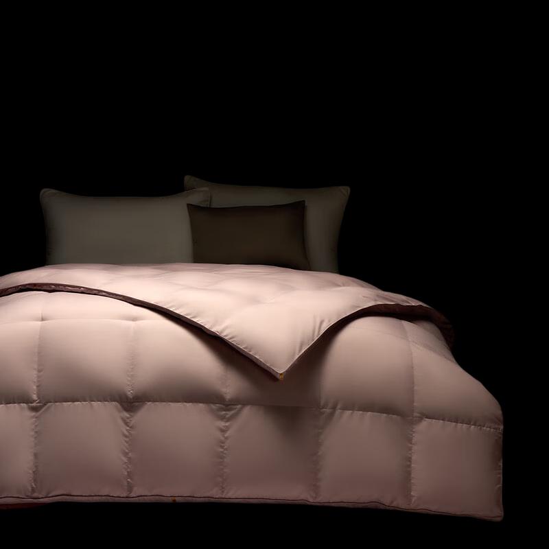 Mercury Home Textiles DH Cole Anti-mite Goose Down Quilt