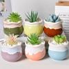 Set of 6 Succulent Cactus Bonsai Tabletop with Flower Ornamental Plant Housewarming Gift 6, Colors, Pot, 886.5cm, Small, Ceramic, Pot, Pot, Pot,