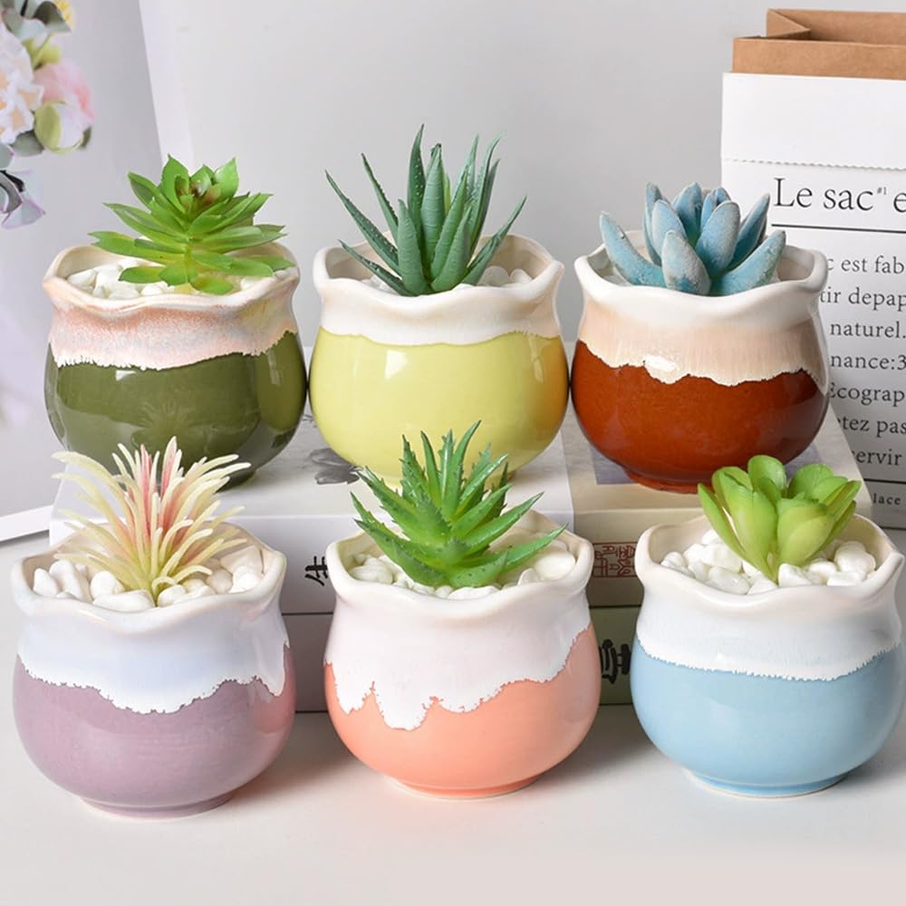 Set of 6 Succulent Cactus Bonsai Tabletop with Flower Ornamental Plant Housewarming Gift 6, Colors, Pot, 886.5cm, Small, Ceramic, Pot, Pot, Pot,
