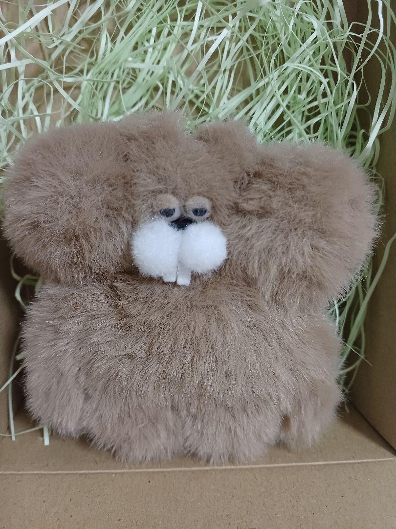 

[USED] Nekohara Shoten Squirrel Teddy Bear Artist Until the end of October