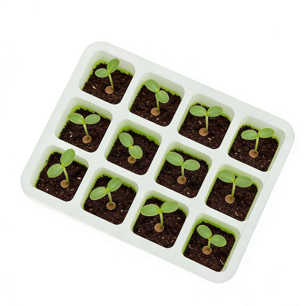 Seedling Starter Trays Indoor gardening plant germination tray 12-Cells Cell Nursery Pots Greenhouse Growth Potting tray