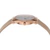 Skagen Watch SKW3078 Women's Gold