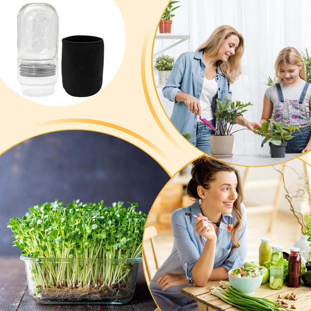 Sprouting Jar Kit Health Vegetables Grow Broccoli Sprouts Growing Kit For Gardeners Beginners Homesteaders Kitchen Countertop