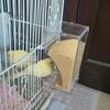 Transparent Acrylic Bird Feeder Automatic No-Mess Bird Cage Feeder Large Capacity Parrot Feeder Anti-Spill Bird Feeder for Canaries Budgies Finches