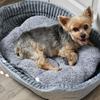 Beruhigendes Haustierbett in Pfotenform, Plüsch-Donutbett aus Kunstfell für Hunde und Katzen, Maschinenwaschbar, Rutschfester Boden
