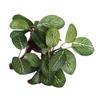 Plastic Tree Aquarium Underwater Plants Ficus Fish Tank Decorations Ornament