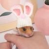Pet Rabbit Ears Hat Photo Props for Hamster Handwoven Cap Rainbow Carrot