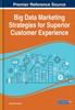The Big Data Marketing Strategies for Superior Customer Experience Book