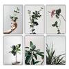 Yeşil Yaprak Bitki Manzara Resimleri Saksı Bitkileri Çiçek Sabah Güneş Tuval Sanat Baskılar Posteri Duvar Resimleri Odası Dekor Için