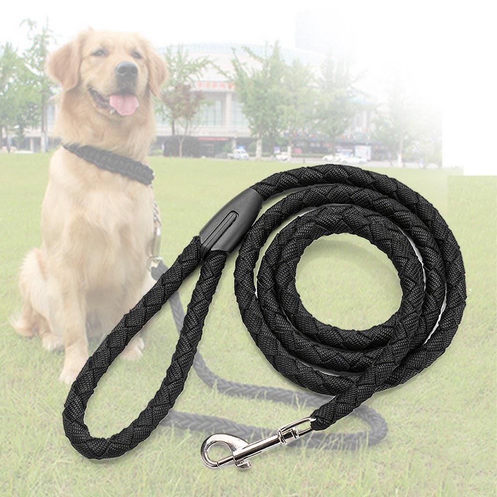 dog rope