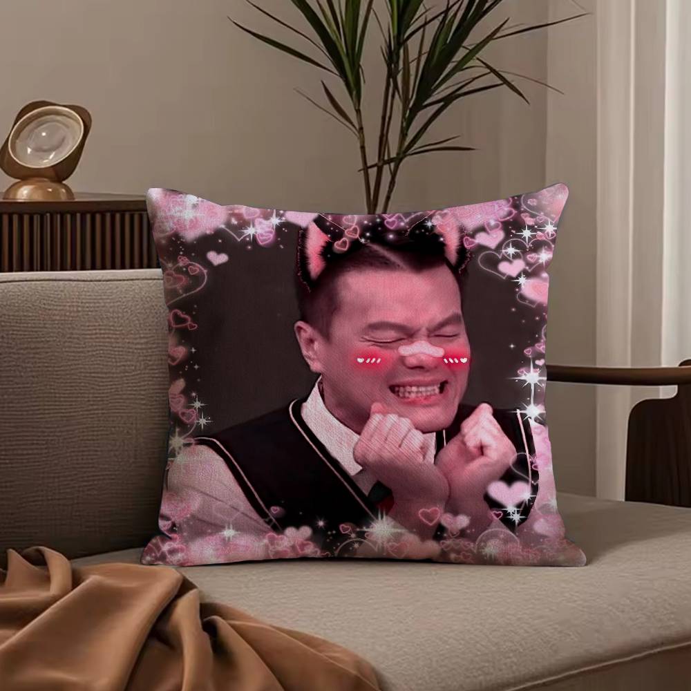 Funny J-JYP Meme Pillow Case Anti-dustmite Pillowcase Invisible zipper silky short plush Sofa cushion cover