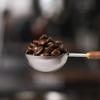 Long Handle Coffee Bean Measuring Spoons Walnut Handle Coffee Scoop  Seasoning