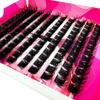 AMSN Fluffy Thick Lash Clusters DIY Eyelash Extension MIX D Curl Lash Clusters Wispy Individual Eyelash Extensions Clusters