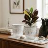 Self-Watering Plant Pots Self-Watering Pots,Double Layer Planter with Reservoir, Clear Flowerpot Decorative Pot for African