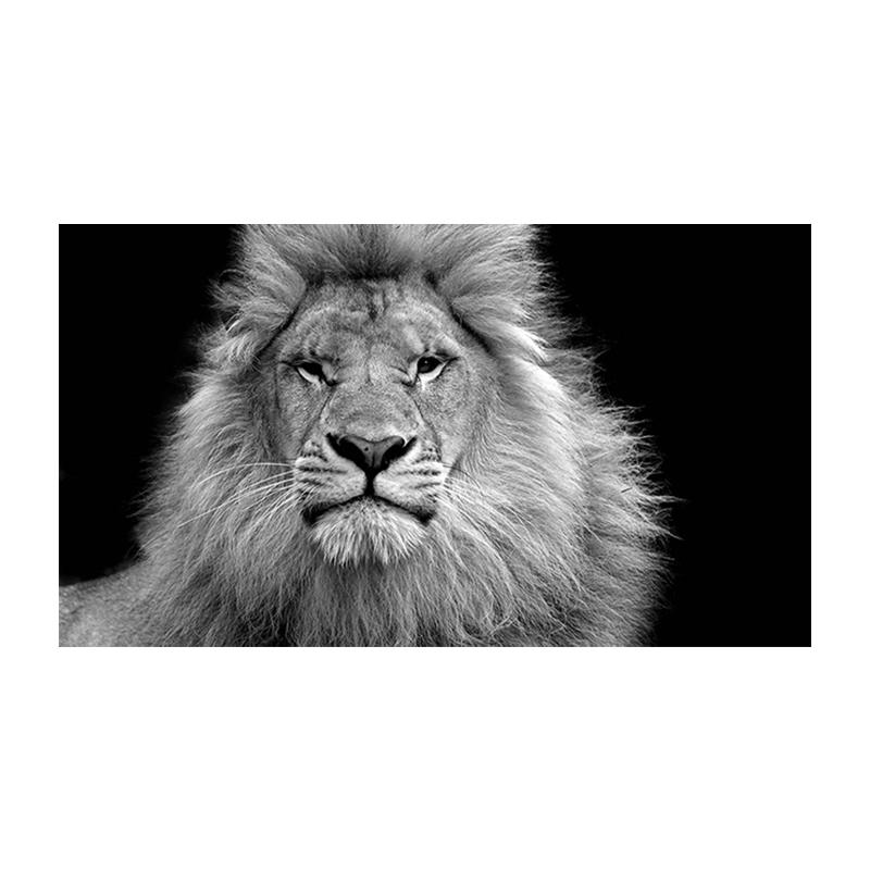 

Современные животные, холст, картины на стенах, постеры и принты, черно-белые львы, настенные картины на холсте, домашний декор для комнаты 20x30cm