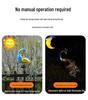 Waterproof LED Solar Peacock Lawn Light: Metal Art Garden Decoration